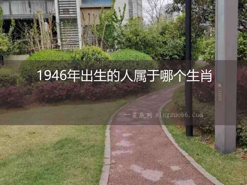 1946年出生的人屬于哪個生肖