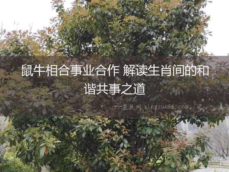 鼠牛相合事業(yè)合作 解讀生肖間的和諧共事之道