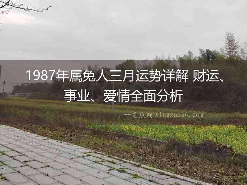 1987年屬兔人三月運(yùn)勢(shì)詳解 財(cái)運(yùn)、事業(yè)、愛(ài)情全面分析