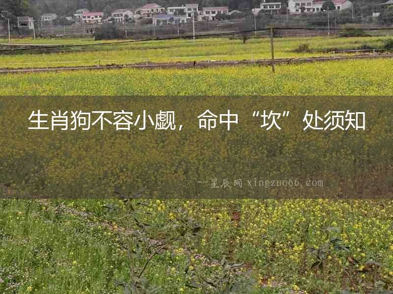 生肖狗不容小覷，命中“坎”處須知