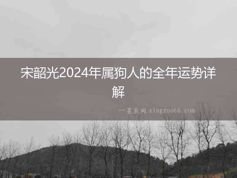 宋韶光2024年屬狗人的全年運勢詳解