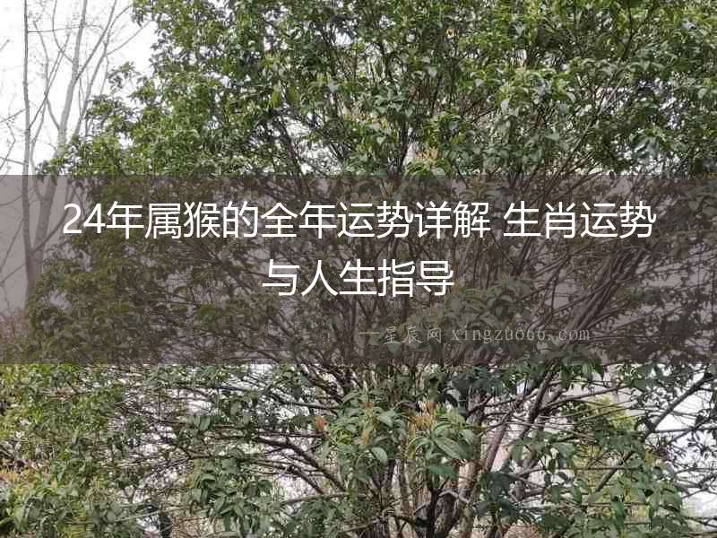 24年屬猴的全年運勢詳解 生肖運勢與人生指導(dǎo)
