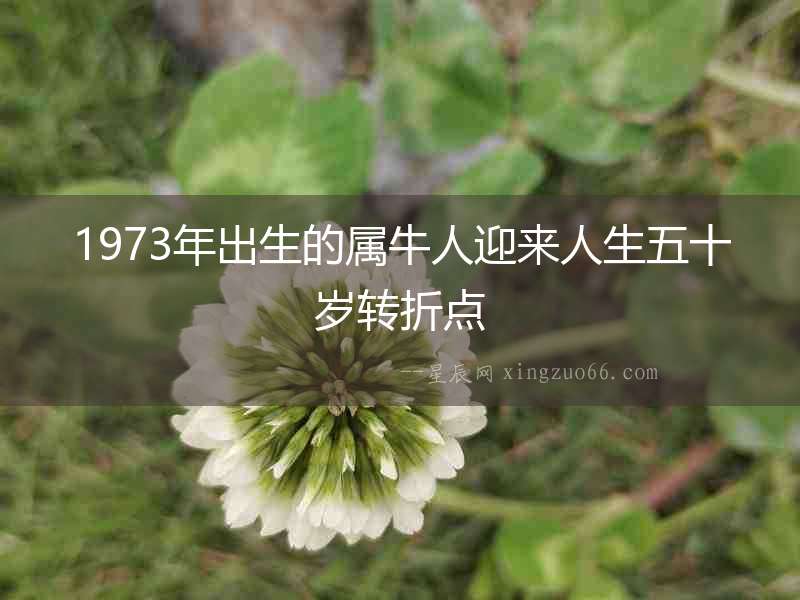 1973年出生的屬牛人迎來人生五十歲轉折點