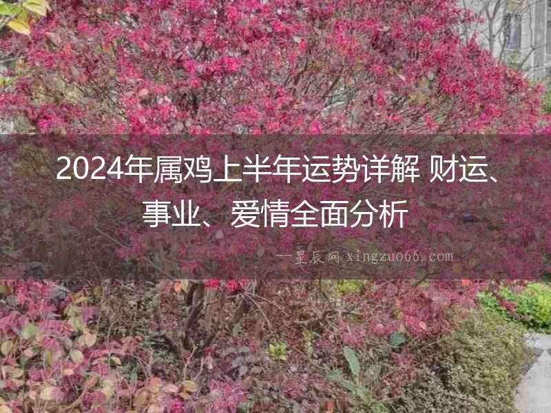 2024年屬雞上半年運(yùn)勢詳解 財(cái)運(yùn)、事業(yè)、愛情全面分析