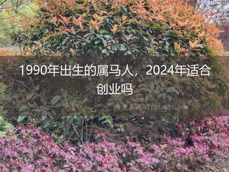 1990年出生的屬馬人，2024年適合創業嗎