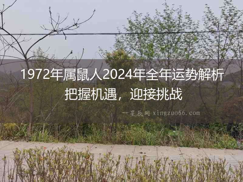 1972年屬鼠人2024年全年運勢解析 把握機遇，迎接挑戰