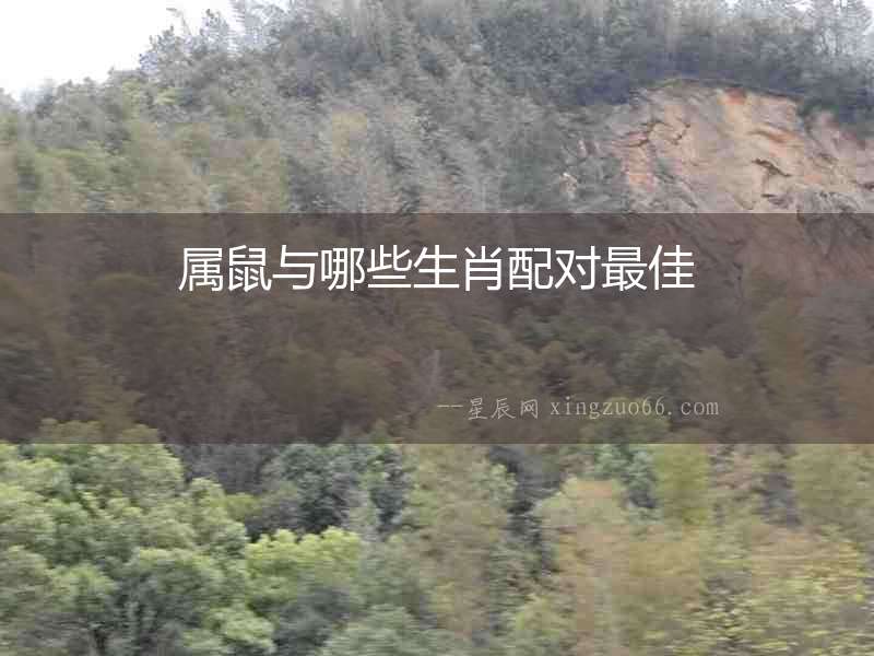 屬鼠與哪些生肖配對最佳