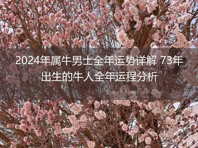 2024年屬牛男士全年運(yùn)勢詳解 73年出生的牛人全年運(yùn)程分析