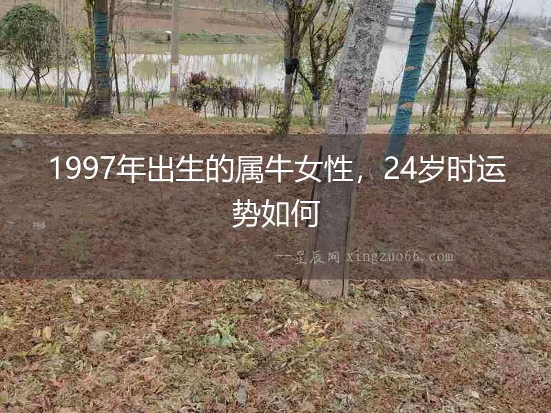1997年出生的屬牛女性，24歲時(shí)運(yùn)勢如何