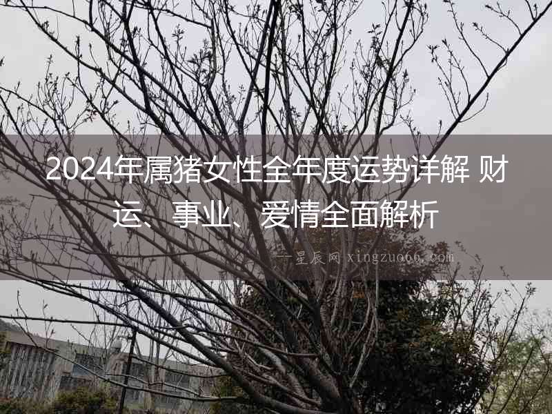 2024年屬豬女性全年度運勢詳解 財運、事業(yè)、愛情全面解析