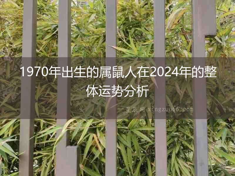 1970年出生的屬鼠人在2024年的整體運勢分析