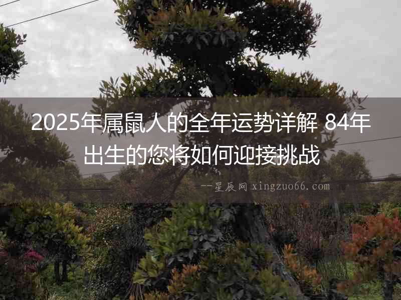 2025年屬鼠人的全年運勢詳解 84年出生的您將如何迎接挑戰