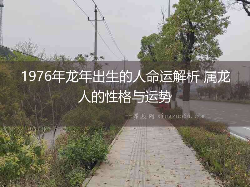 1976年龍年出生的人命運解析 屬龍人的性格與運勢