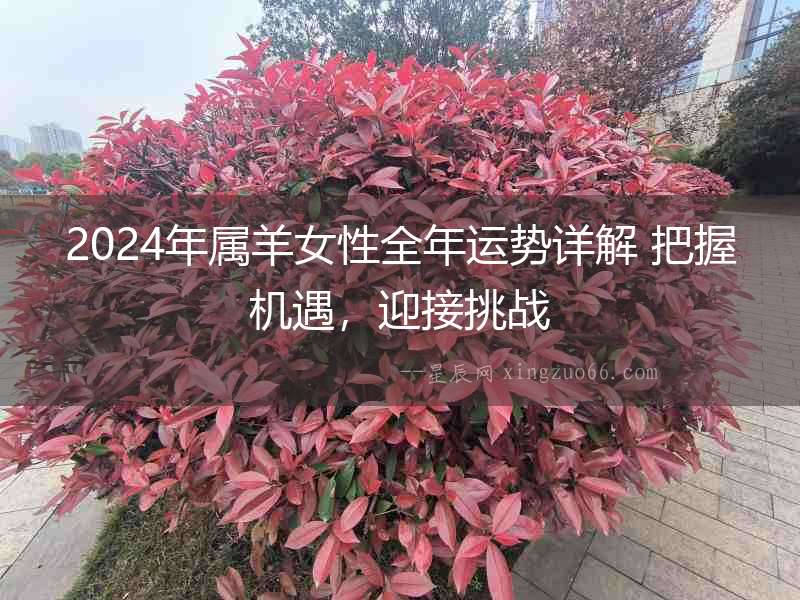 2024年屬羊女性全年運(yùn)勢(shì)詳解 把握機(jī)遇，迎接挑戰(zhàn)