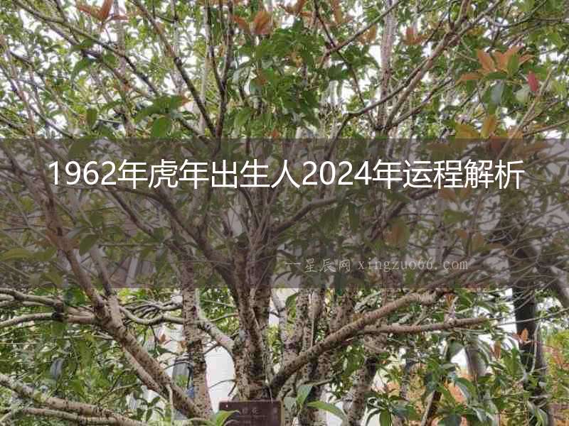 1962年虎年出生人2024年運程解析