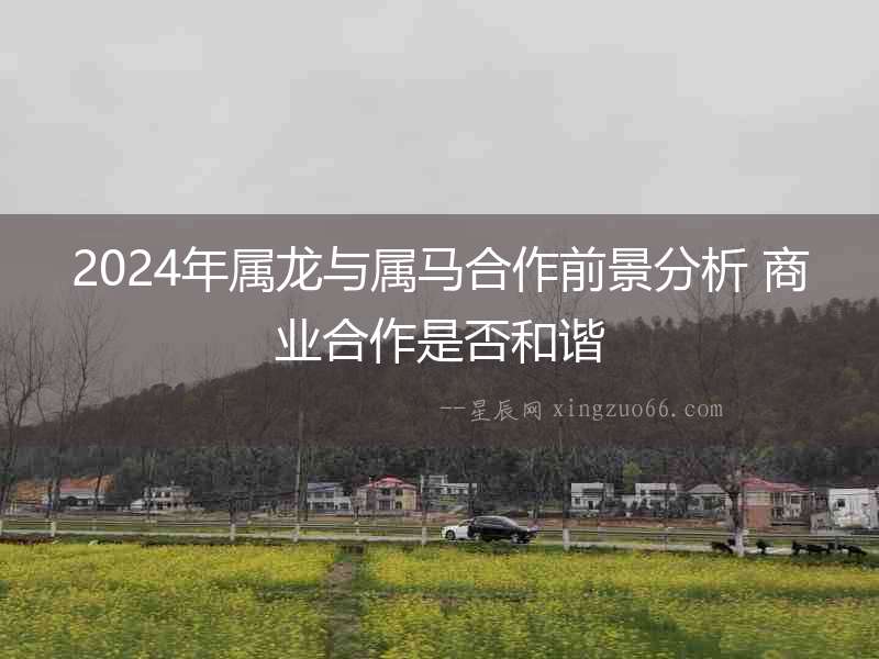 2024年屬龍與屬馬合作前景分析 商業(yè)合作是否和諧