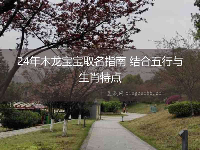 24年木龍寶寶取名指南 結(jié)合五行與生肖特點(diǎn)