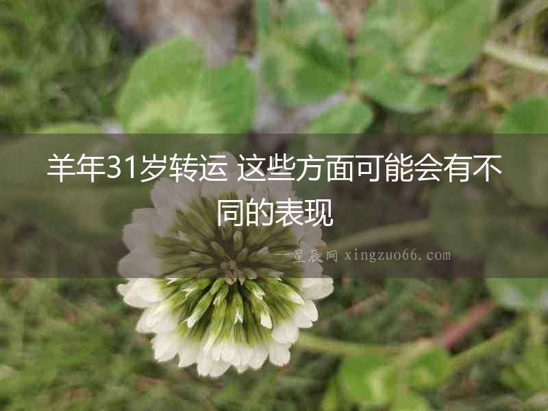 羊年31歲轉運 這些方面可能會有不同的表現