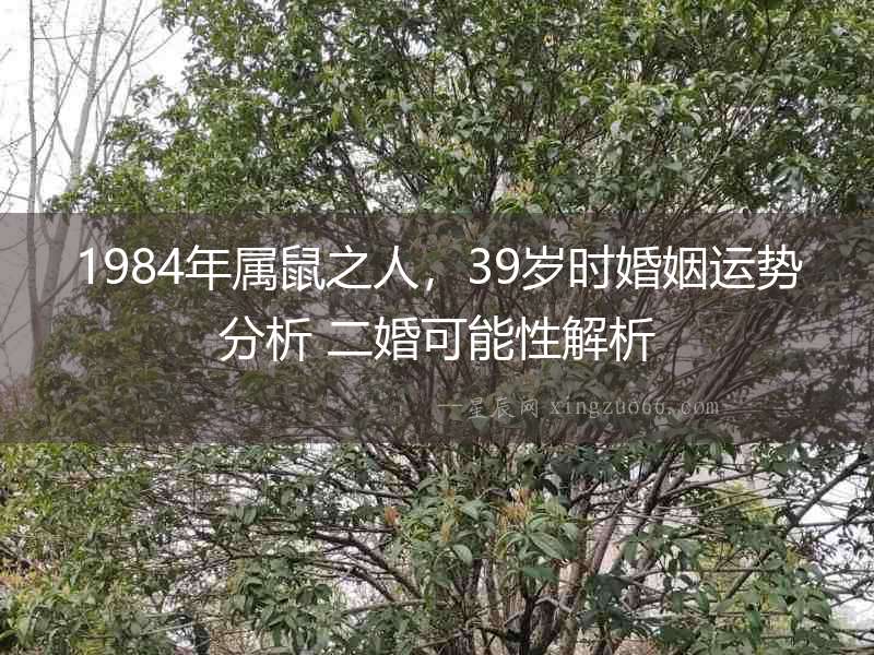 1984年屬鼠之人，39歲時婚姻運勢分析 二婚可能性解析