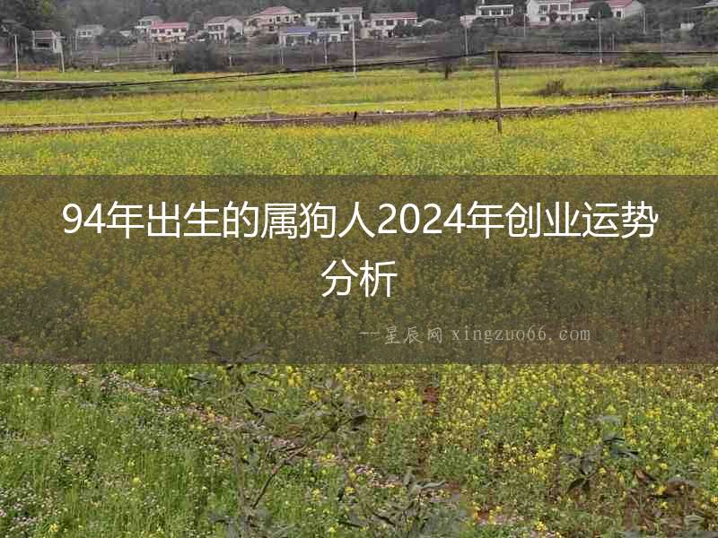 94年出生的屬狗人2024年創(chuàng)業(yè)運(yùn)勢分析