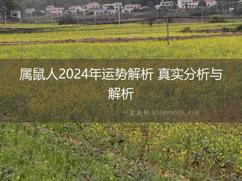 屬鼠人2024年運(yùn)勢解析 真實(shí)分析與解析