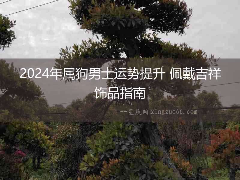 2024年屬狗男士運(yùn)勢(shì)提升 佩戴吉祥飾品指南