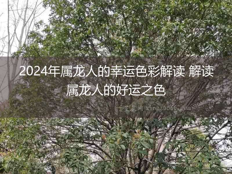 2024年屬龍人的幸運(yùn)色彩解讀 解讀屬龍人的好運(yùn)之色