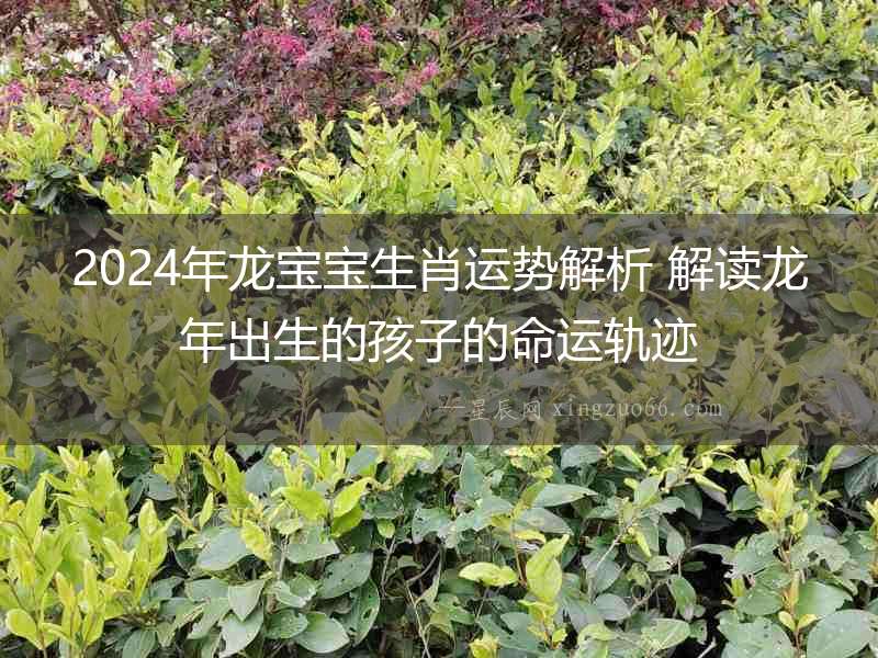 2024年龍寶寶生肖運(yùn)勢(shì)解析 解讀龍年出生的孩子的命運(yùn)軌跡