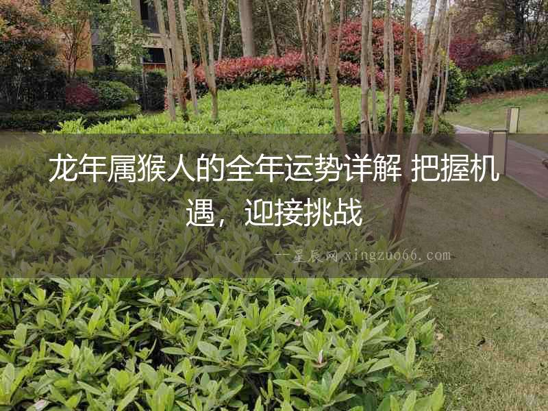 龍年屬猴人的全年運勢詳解 把握機遇，迎接挑戰