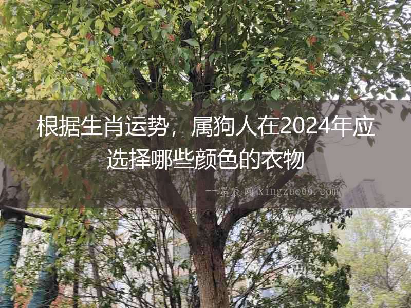 根據(jù)生肖運(yùn)勢(shì)，屬狗人在2024年應(yīng)選擇哪些顏色的衣物