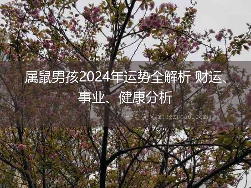 屬鼠男孩2024年運勢全解析 財運、事業(yè)、健康分析
