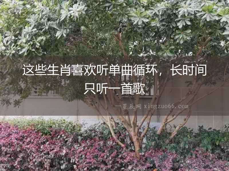 這些生肖喜歡聽單曲循環(huán)，長時間只聽一首歌