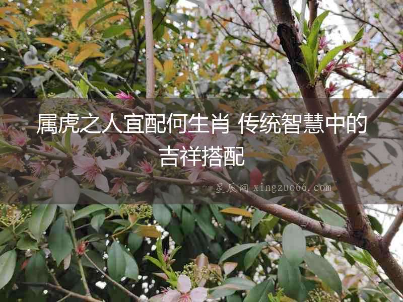 屬虎之人宜配何生肖 傳統(tǒng)智慧中的吉祥搭配