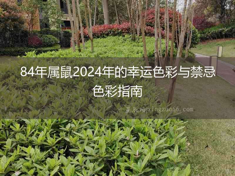 84年屬鼠2024年的幸運色彩與禁忌色彩指南