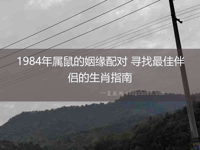 1984年屬鼠的姻緣配對(duì) 尋找最佳伴侶的生肖指南