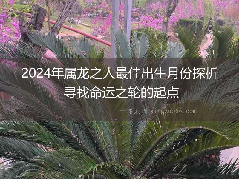 2024年屬龍之人最佳出生月份探析 尋找命運(yùn)之輪的起點(diǎn)