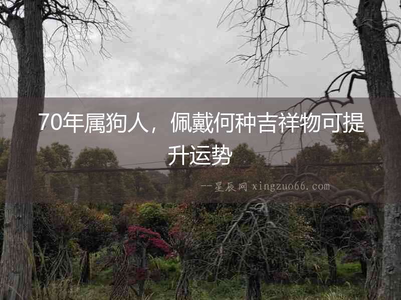 70年屬狗人，佩戴何種吉祥物可提升運勢
