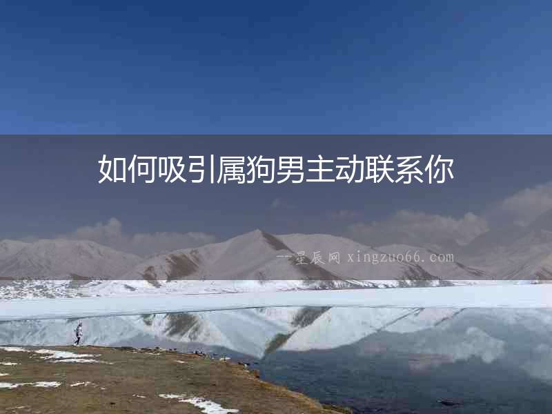 如何吸引屬狗男主動聯系你