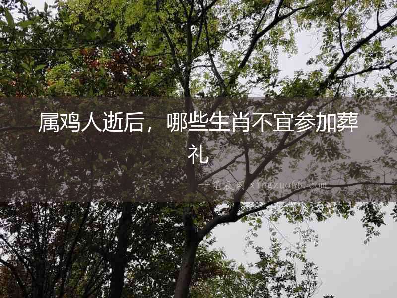 屬雞人逝后，哪些生肖不宜參加葬禮