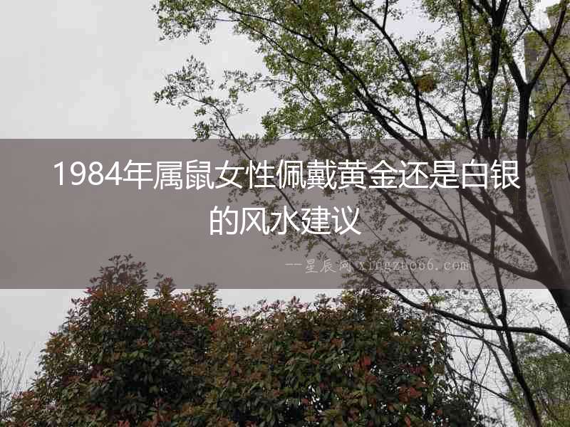 1984年屬鼠女性佩戴黃金還是白銀的風(fēng)水建議
