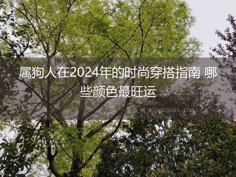 屬狗人在2024年的時(shí)尚穿搭指南 哪些顏色最旺運(yùn)