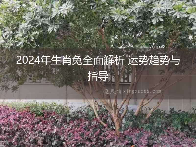 2024年生肖兔全面解析 運勢趨勢與指導(dǎo)