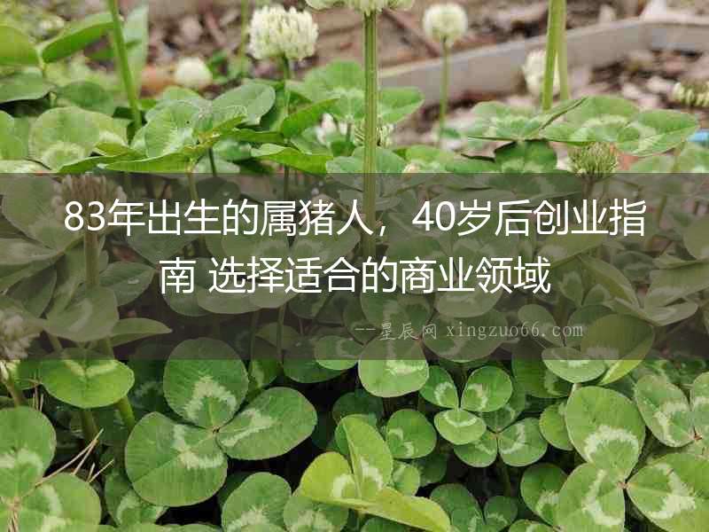 83年出生的屬豬人，40歲后創業指南 選擇適合的商業領域