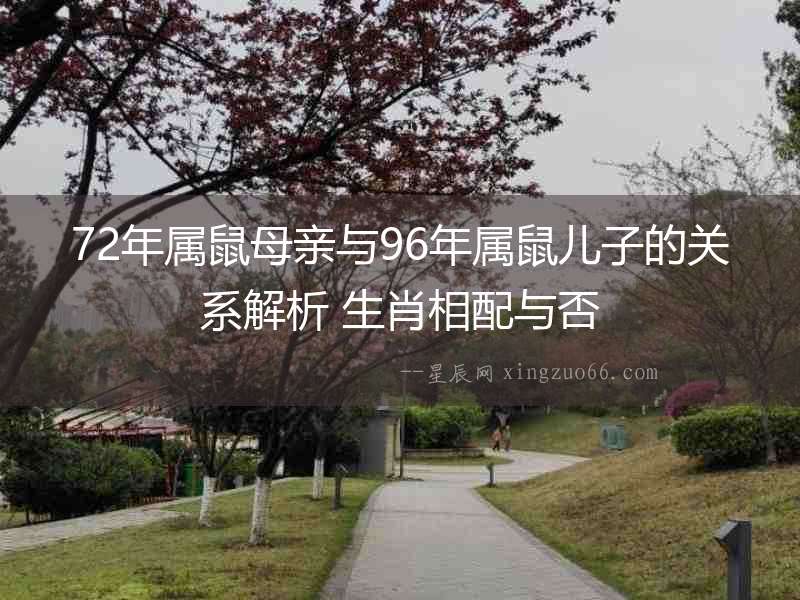 72年屬鼠母親與96年屬鼠兒子的關(guān)系解析 生肖相配與否