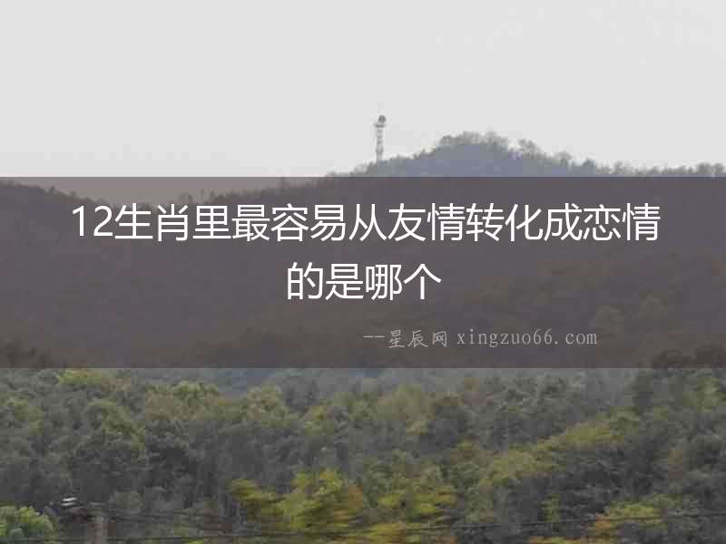 12生肖里最容易從友情轉化成戀情的是哪個