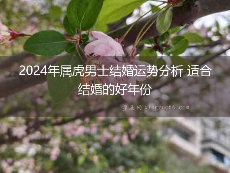 2024年屬虎男士結婚運勢分析 適合結婚的好年份