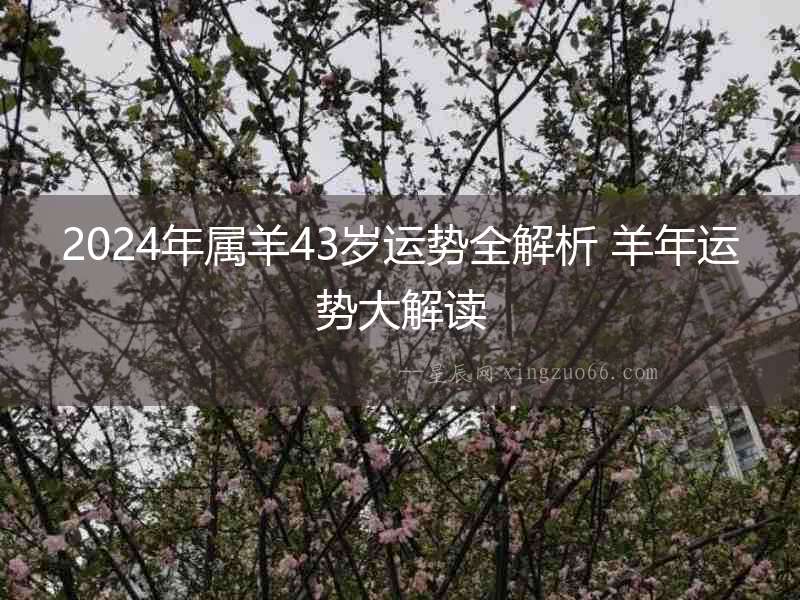 2024年屬羊43歲運勢全解析 羊年運勢大解讀