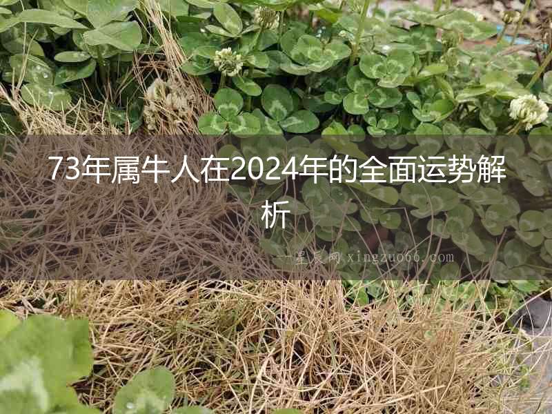 73年屬牛人在2024年的全面運勢解析