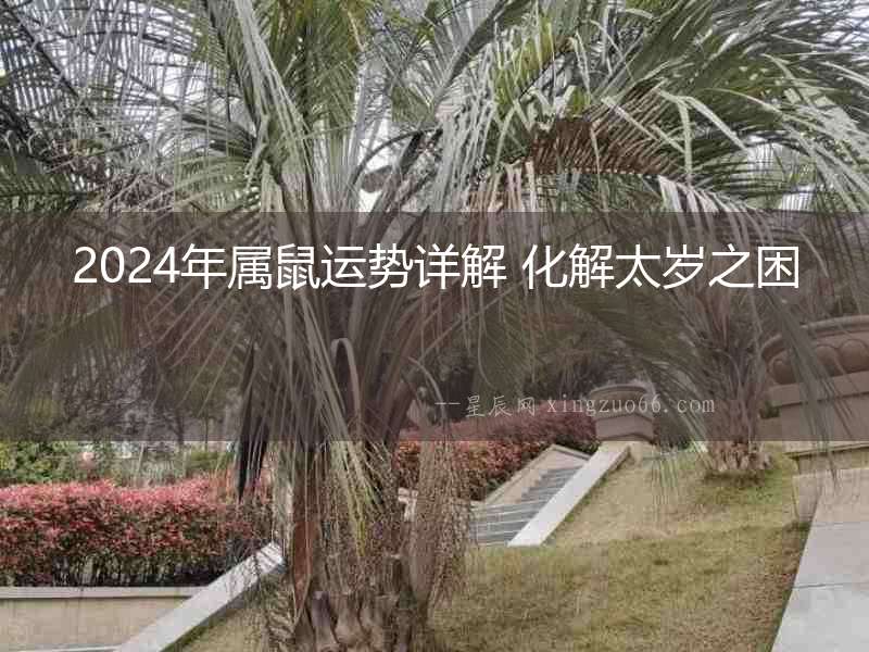 2024年屬鼠運勢詳解 化解太歲之困