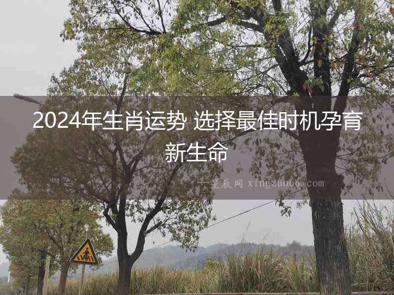 2024年生肖運勢 選擇最佳時機孕育新生命